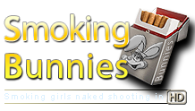 VidzFlix.com